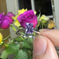 Amethyst radiant solitaire